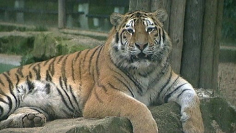 Reportéři ČT - 12. listopadu 2007