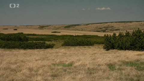 Minuty z Krkonoš - Smilkové louky