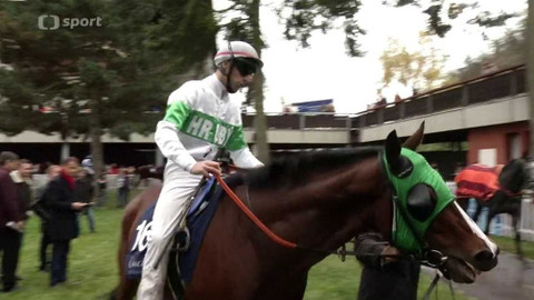 Jezdectví - Pražský zimní favorit