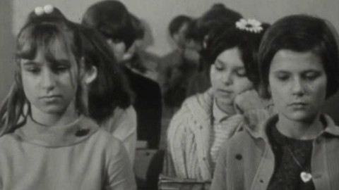 Kulturní život - Češi a Slováci