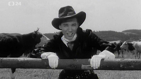 Týden v regionech (Ostrava) - 12. října 2019