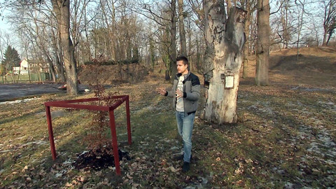 Nedej se! - Zachráněný park