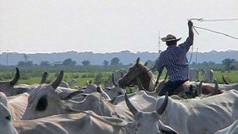 Cestománie - Paraguay