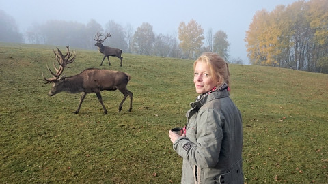 Farmářská jízda - 16/16 Daňci a jeleni od Friedbergerů