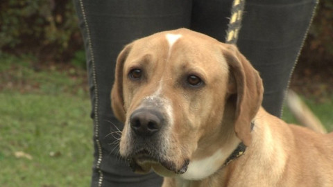 Chcete mě? - Chcete je?