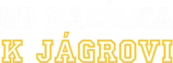 Od Bacílka k Jágrovi - 90 let kladenského hokeje