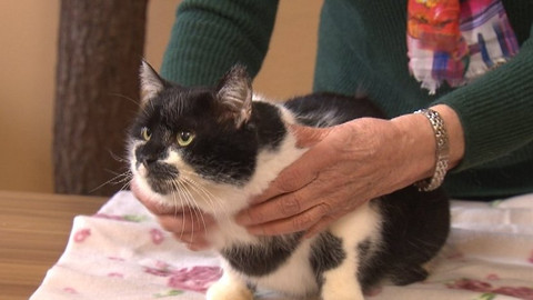 Chcete mě? - Chcete je?