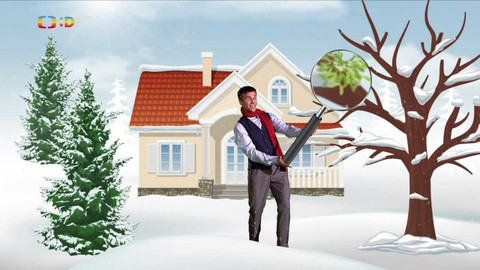 PLANETA YÓ - 6. prosince 2022