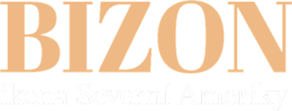 Bizon - ikona Severní Ameriky