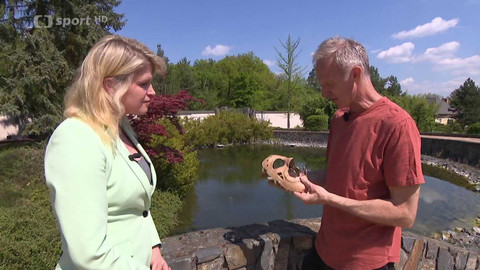 MS v ledním hokeji mužů 2025 Švédsko, Dánsko - #ProHokejJakyJe