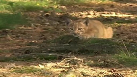 Madla a Ťap - 3/13 Jak byli na výletě