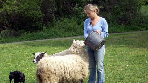 Mezi námi zvířaty - 6. června 2009