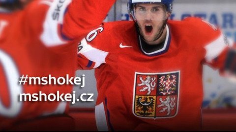 MS v ledním hokeji 2013 Finsko a Švédsko