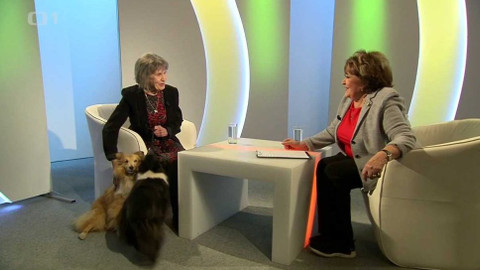 Hobby naší doby - 19. ledna 2019