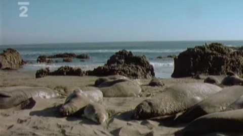 Nedej se! - Chemické znečištění