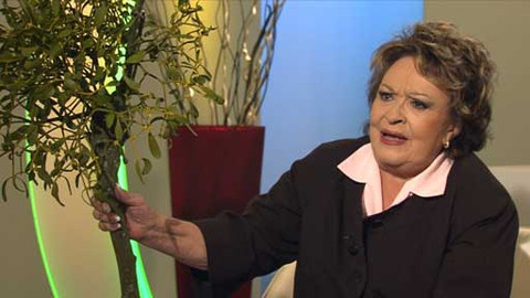 Hobby naší doby - 14. prosince 2013