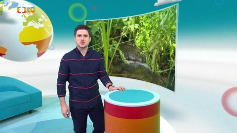 Zprávičky - 2. února 2020