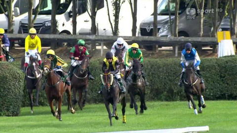 Velká pardubická - 133. Velká pardubická se Slavia pojišťovnou