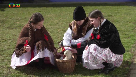 Draci v hrnci - Hrozny, jídlo, zpěv, dolňácký je svět