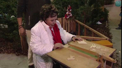 Dobrá rada nad zlato - 24. ledna 2009