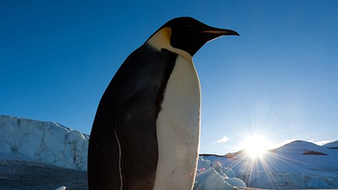 Zmrzlá planeta - 6/6 Naše zmrzlá planeta