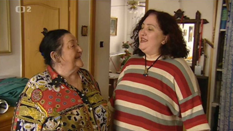 Folklorika - 21. května 2004