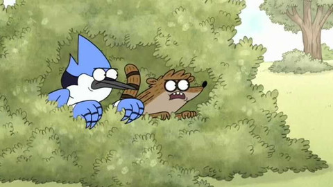 Normálka - 96/100 Husí kusy