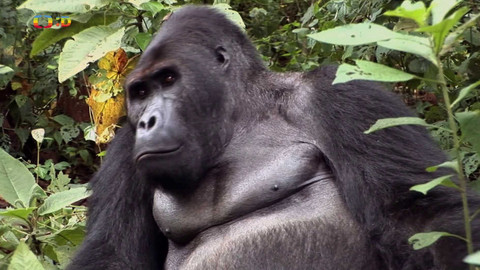 Terčin zvířecí svět - 20. března