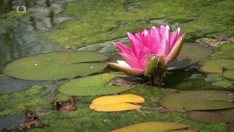 Kapka vody - Průmyslové stavby a zadržování dešťových vod