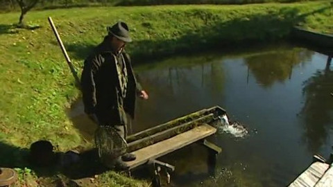 Náš venkov - Příběhy z obory