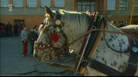 Folklorní magazín - 3. ledna 2011