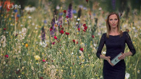 Horizont ČT24 - 11. června 2019