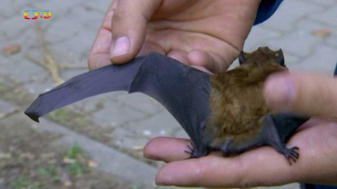 Terčin zvířecí svět - 18. února 2022