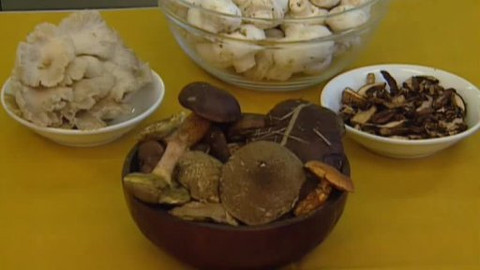 Pod pokličkou - Bez atlasu hub nesněz ani chlup