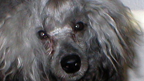 Reportéři ČT - 21. května 2012