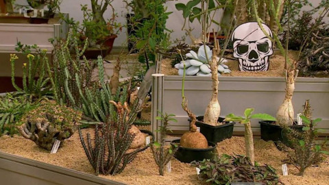 Polopatě - 26. září 2021