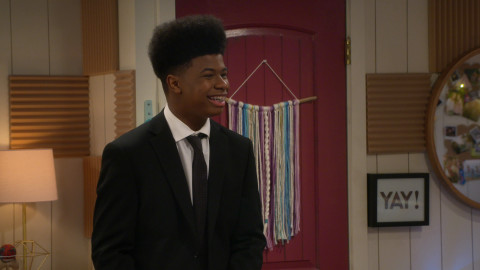 Práce bokem - Psí svatba