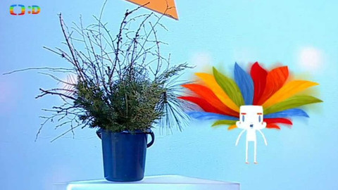 Tamtam - 4. prosince 2015