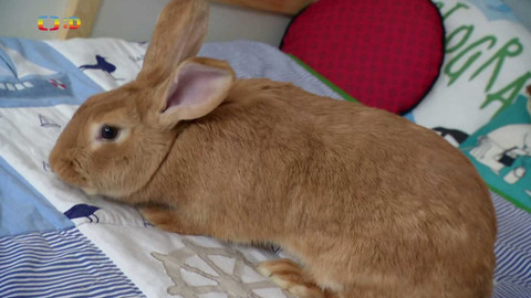 Terčin zvířecí svět - 5. dubna 2024