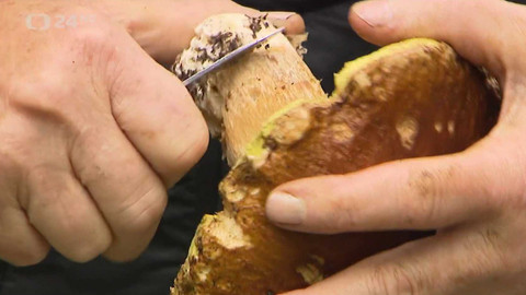 Regiony ČT24 - 18. října