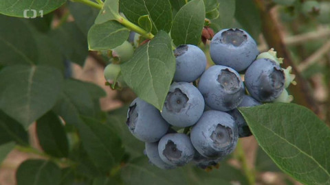 Hobby naší doby - 22. září 2018