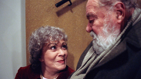 Bakaláři - Silvestr