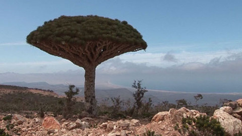 Objektiv - 24. dubna 2011