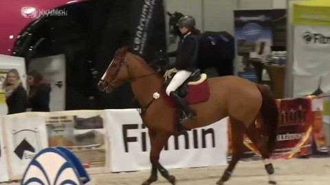 Jezdectví - Jezdecký festival v Lysé nad Labem