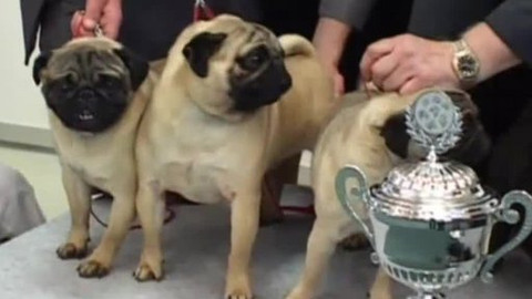 Tisíc let české myslivosti - 17. června 2010