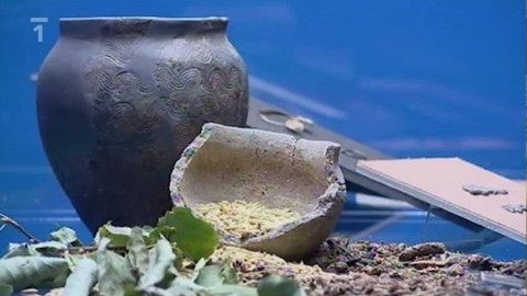 Toulavá kamera - 3. dubna 2011