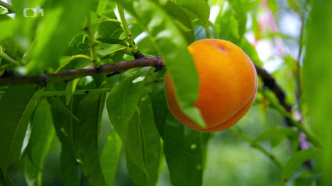 Polopatě - 7. září