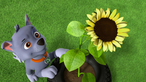 Tlapková patrola - Tlapky zachraňují med / Tlapky zachraňují kabelku starostky Goodwayové