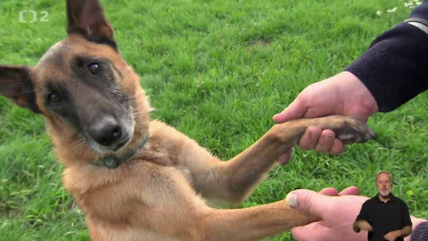 Chcete mě? - 8. října 2017