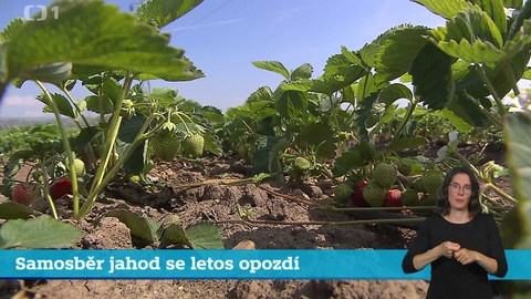 Události v regionech (Praha) - 21. května